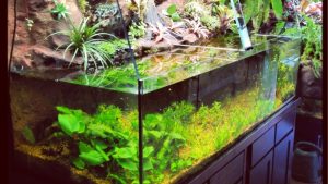 Best Aquarium Table For Terrarium And Fish Tank: Top Smart