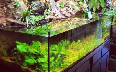 Best Aquarium Table For Terrarium And Fish Tank: Top Smart