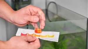 Best Aquarium Test Strips vs Liquid Test Kit: How to Choose