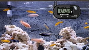 Best Aquarium Thermometer With Alarm: Reliable Top Picks