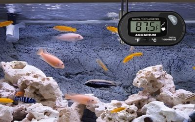 Best Aquarium Thermometer With Alarm: Reliable Top Picks