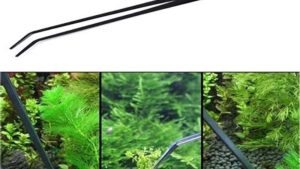 Best Aquarium Water Change Bucket and Hose: Top Tested Picks