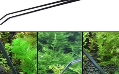 Best Aquarium Water Change Bucket and Hose: Top Top Picks