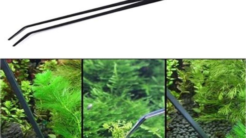 best aquarium water change bucket and hose