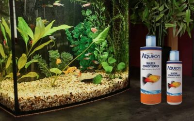 Best Aquarium Water Conditioner for Tap Water: Buyer Guide