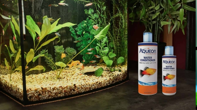 best aquarium water conditioner for tap water