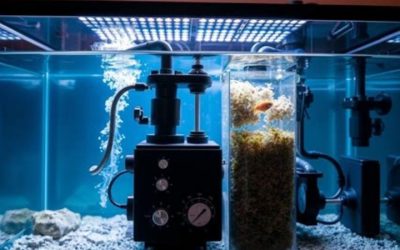 Best Aquarium With Hidden Filtration: Smart, Clean Picks