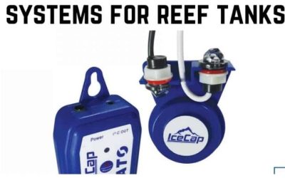 Best Auto Top Off System for a 125 Gallon Tank: Top Picks