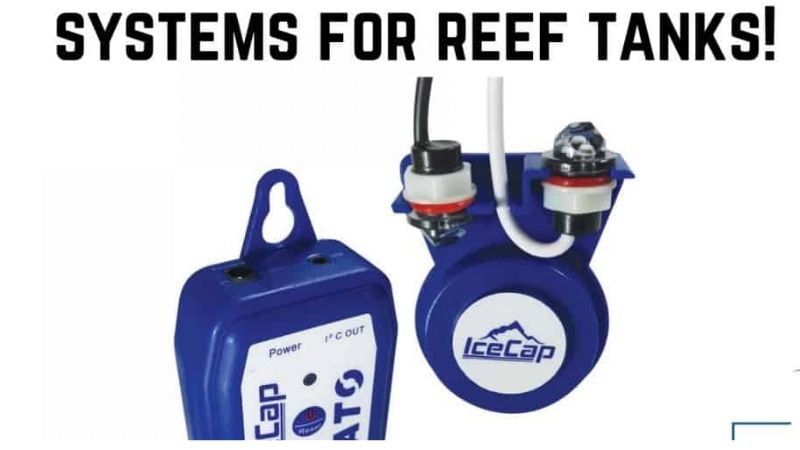 best auto top off system for a 125 gallon tank