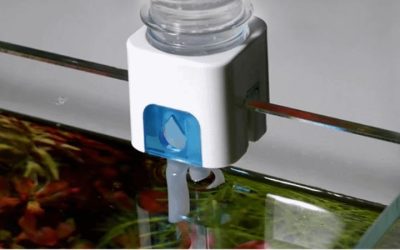 Best Auto Top Off System for a 75 Gallon Tank: Smart Picks