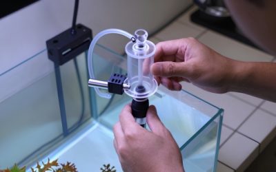 Best Auto Top Off System for Large Reef Tanks: Safe Picks