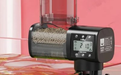 Best Automatic Feeder for a Large Display Tank: Top Picks