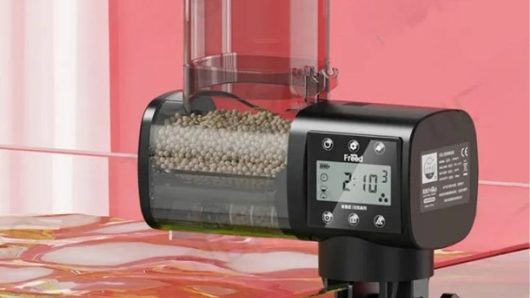 best automatic feeder for a large display tank