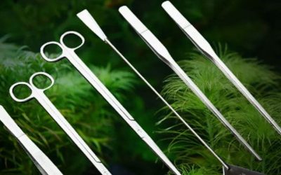 Best Automatic Water Changer for Aquarium: Smart Top Picks