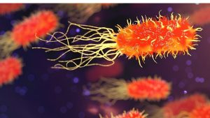 Best Beneficial Bacteria Supplement for Aquarium: A Guide
