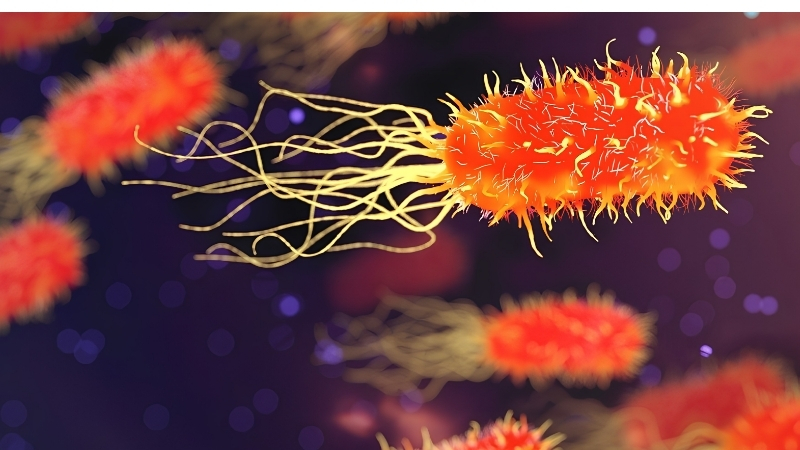 best beneficial bacteria supplement for aquarium