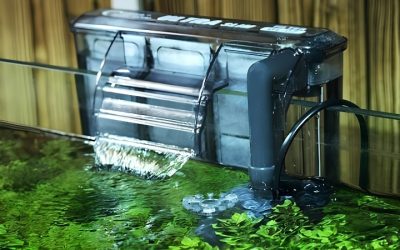 Best Bio Wheel Filter for Freshwater Tank: Top Rated Picks