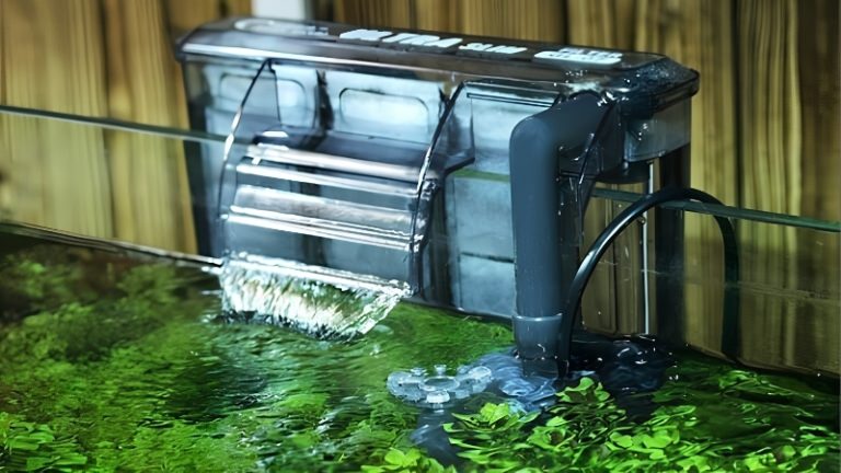 best bio wheel filter for freshwater tank