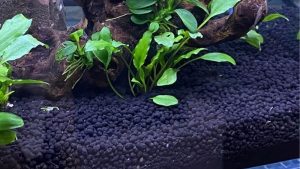 Best Black Sand Substrate for Aquarium: Expert Tested Pick
