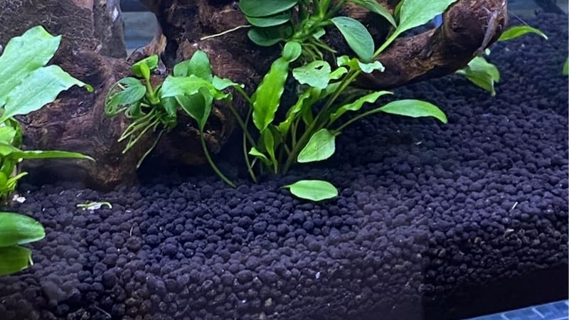 best black sand substrate for aquarium