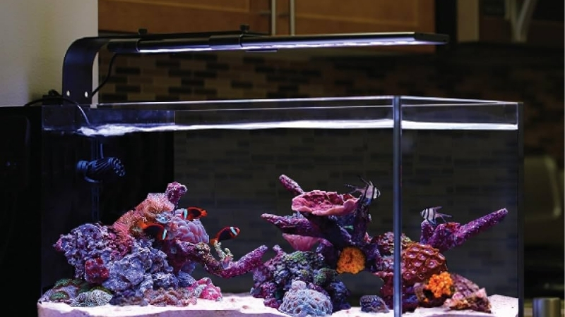 best bluetooth aquarium light with app control
