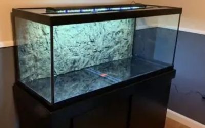 Best Budget 75 Gallon Aquarium Kit: Top Compared Buying Guide