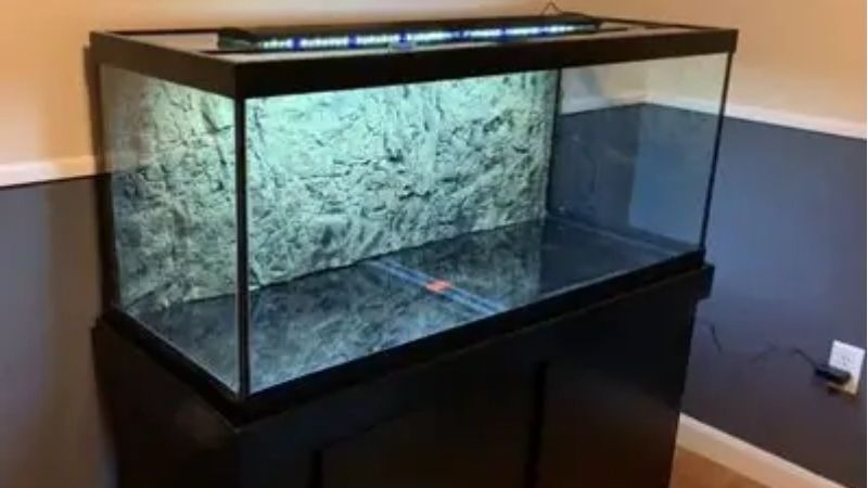best budget 75 gallon aquarium kit