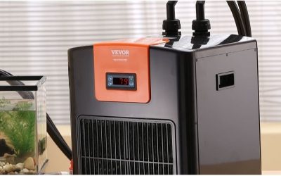 Best Budget Aquarium Chiller: Expert-Tested, Reliable Picks