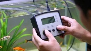 Best Budget Aquarium Controller: Top Expert Buying Guide