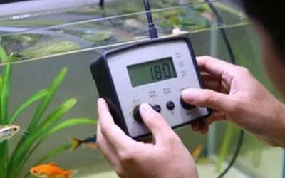 Best Budget Aquarium Controller: Top Expert Buying Guide