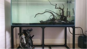 Best Budget Aquarium Rack: Affordable and Smart Top Picks