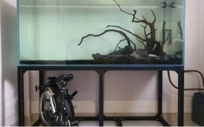 Best Budget Aquarium Rack: Affordable and Smart Top Picks