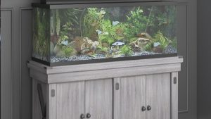 Best Budget Aquarium Stand Under 100: Essential Perfect