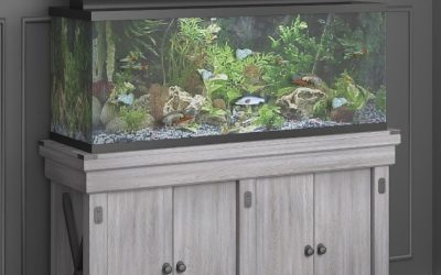 Best Budget Aquarium Stand Under 100: Essential Perfect