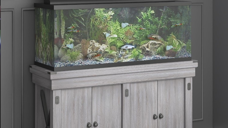 best budget aquarium stand under 100