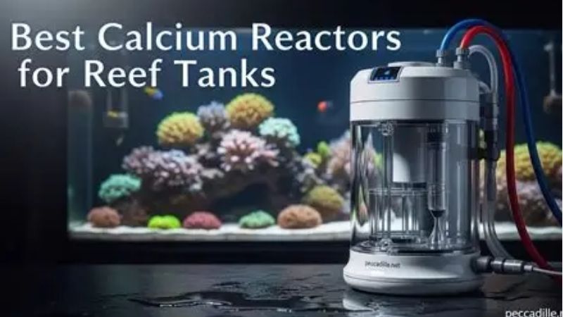 best budget calcium reactor