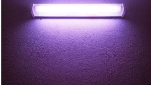 Best Budget Canister Filter With UV Lamp: 3 Smart Picks