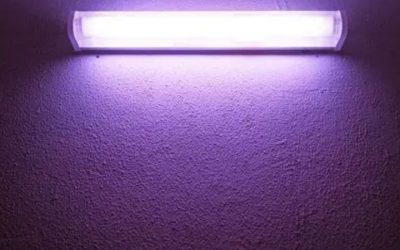 Best Budget Canister Filter With UV Lamp: 3 Smart Picks