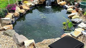 Best Budget Pond Liner: Top Expert Picks and Buying Guide