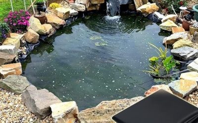 Best Budget Pond Liner: Top Expert Picks and Buying Guide