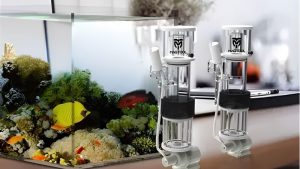 Best Budget Protein Skimmer: Top Expert Picks for Beginners