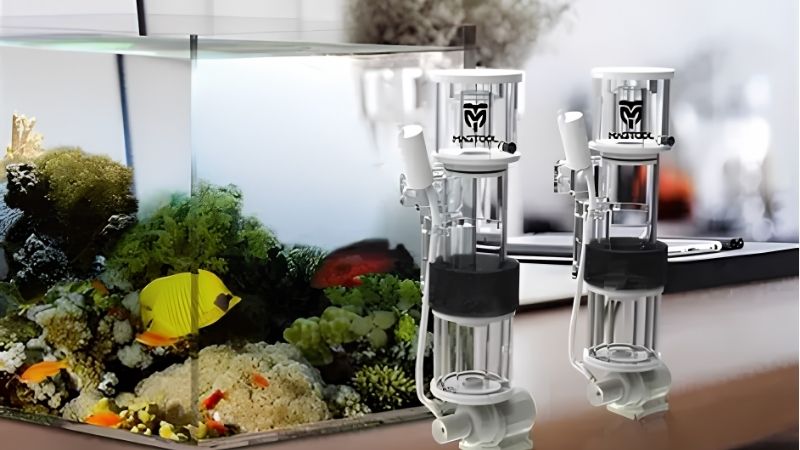 best budget protein skimmer