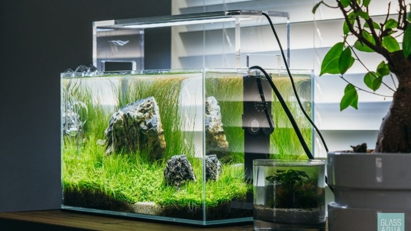 best budget rimless aquarium