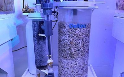 Best Calcium Reactor for a 75 Gallon Reef Tank: Top Compared