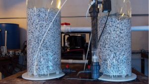Best Calcium Reactor for a First Reef Tank: Top Expert Guide