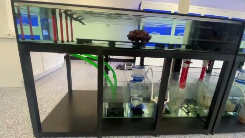 best calcium reactor for a frag system
