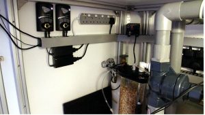 Best Calcium Reactor for an SPS Dominated Tank: Top Compared
