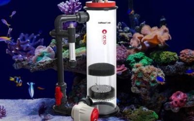 Best Calcium Reactor Maintenance and Cleaning Kit: Top Rated