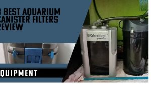 Best Canister Filter for 100 Gallon Aquarium: Expert Picks