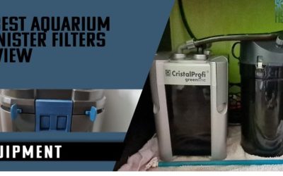 Best Canister Filter for 100 Gallon Aquarium: Expert Picks